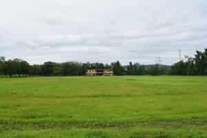 Pillai HOC College of Arts, Science and Commerce Navi Mumbai Some Moments photo 14